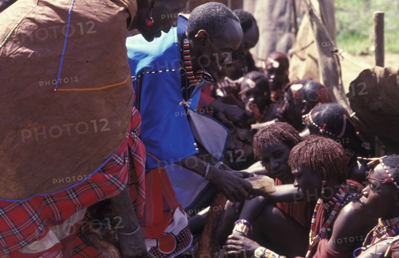 KENYA, Kajiado, Maasai Moran have the fat from a sacrificial cow daubed on them as well as taking a bite from its flesh during the ceremony that will bring them into manhood.