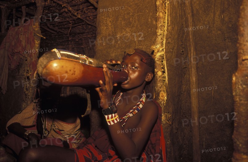 KENYA, , A Maasai Moran drinks traditional honey beer as part of his initiation ceremony into manhood. He will live inside the moran village for several months.