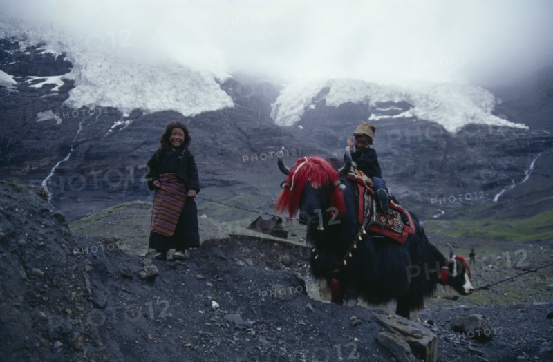 TIBET, Karo La Glacier, Nomadic children with yak in traditional decorative harness in mountain landscape.