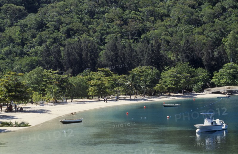 HAITI, North Coast, Labadie, Quiet sandy beach and tree covered backdrop.