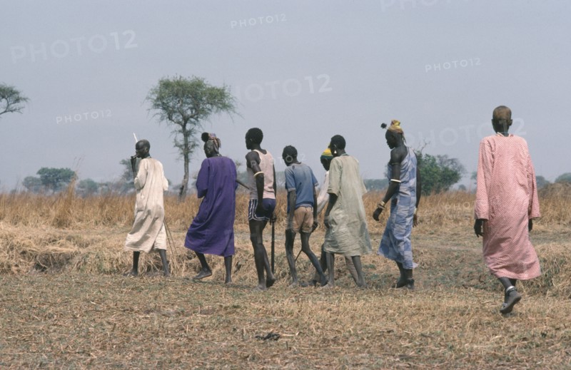 SUDAN, Wedding, Dinka bridegroom in purple with members of his clan who will negotiate a bride price in the form of a dowry of cattle.