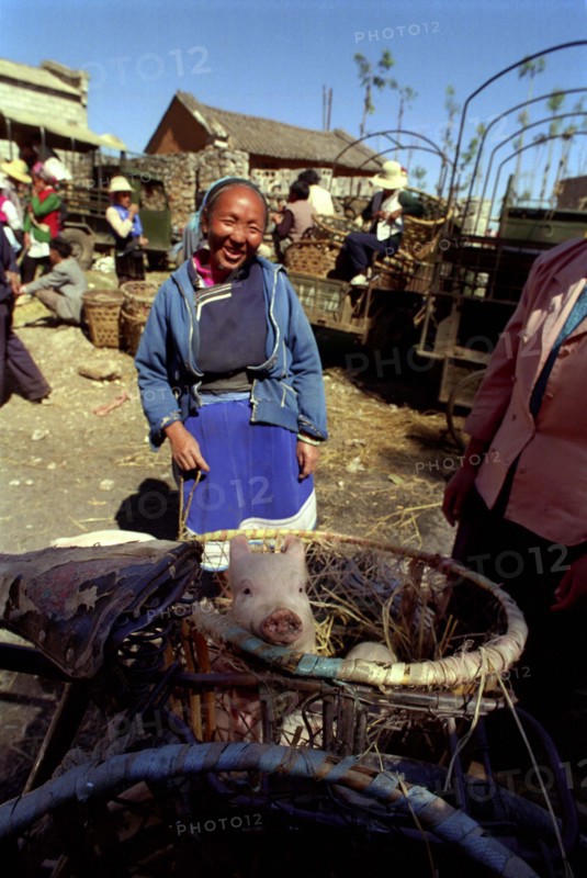 CHINA, Yunnan, Shapin, Smiling women with piglet in a side basket of her bicycle at the market