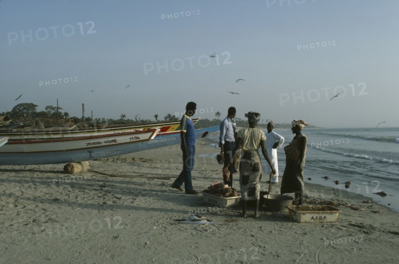 GAMBIA, Gunjar, People buying freshly caught fish on the beach