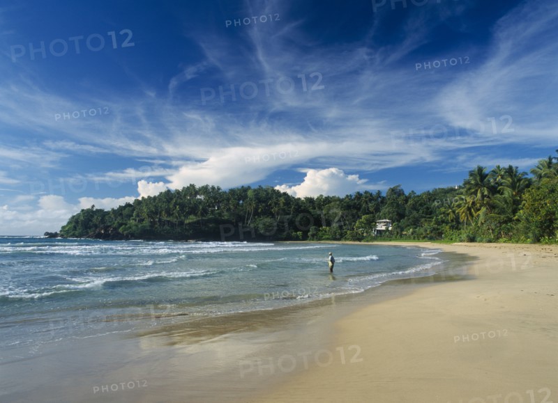SRI LANKA, Pallikkudawa, Quiet sandy beach fringed with palm trees on the south coast with fisherman standing in shallow water at shoreline and building amongst trees behind.