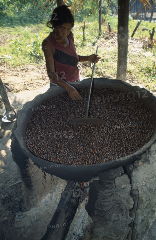 BRAZIL, Amazonas, Rio Maues, Igarape Arua. Satere Maue Indian woman roasting Guarana seeds on a clay oven
