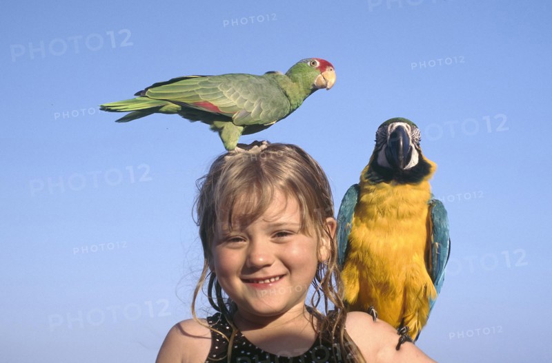 USA, Florida, Fort Lauderdale, Portrait of a young girl with yellow and blue Parrot on her shoulder and a green and red Paroquet on her head