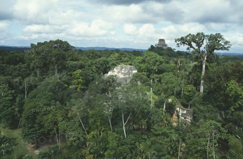 GUATEMALA, Tikal, View over treetops toward the 70 meter Temple IV from the Mundo Perdido or Lost World area of the great Mayan ruins