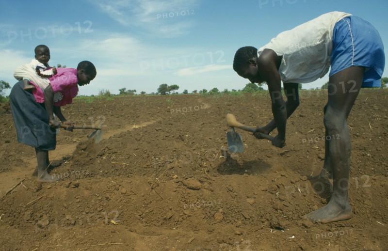 MALAWI, Near Lilongwe, Single child family working in the field