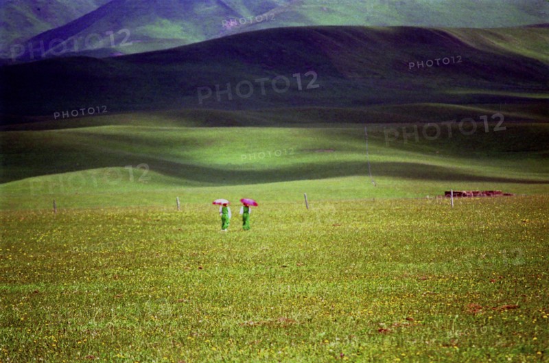 CHINA, Gansu, Xiahe, Wanderers walking through green landscape with pink parasols