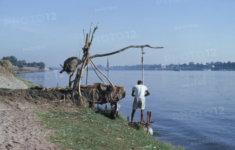 EGYPT, River Nile, Shadouf irrigation.