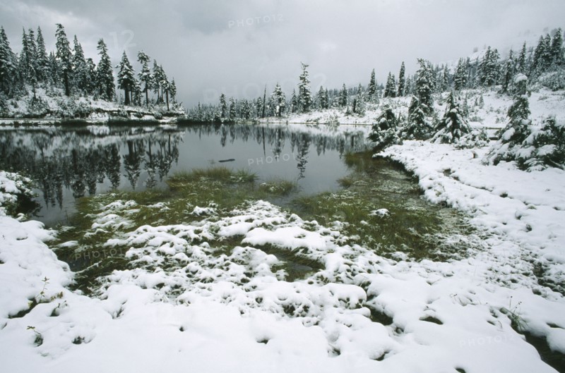 USA, Washington State, Mount Baker National Forest, First winter snowfall on Mount Baker in the North Cascades