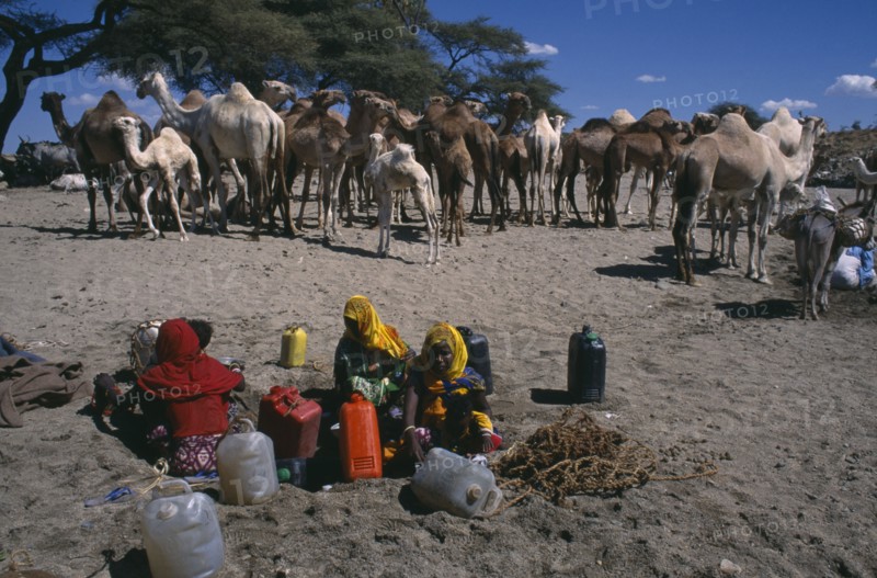 ERITREA, Barentu, Adi Keshi, Camels at well and women with water containers.