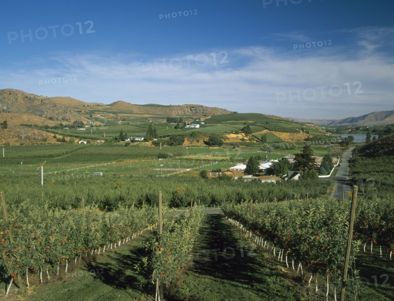 USA, Washington State, Chelan, Mason. View over fruit orchards towards Banjo Creek Farm and Dry Lake.