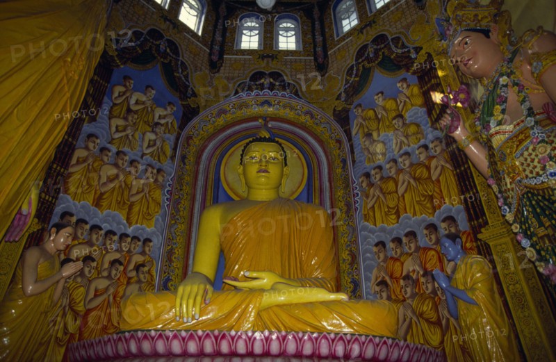 SRI LANKA, Colombo, Statue of seated Buddha in ornate Buddhist temple