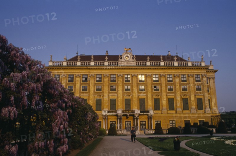 AUSTRIA, Vienna, Schonbrunn Palace.  Exterior and wisteria hedge.