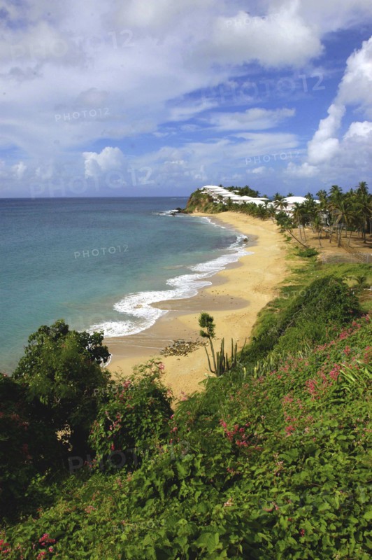WEST INDIES, Antigua, Morris Bay, View from green cliffs over empty golden sandy stretch of beach