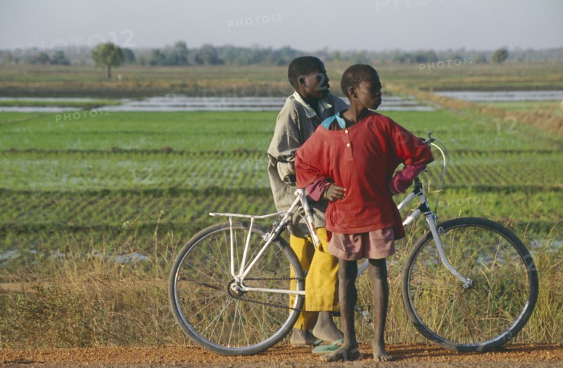 BURKINA FASO, Bobo Dioulassou, Two boys with a bicycle with paddy field behind.
