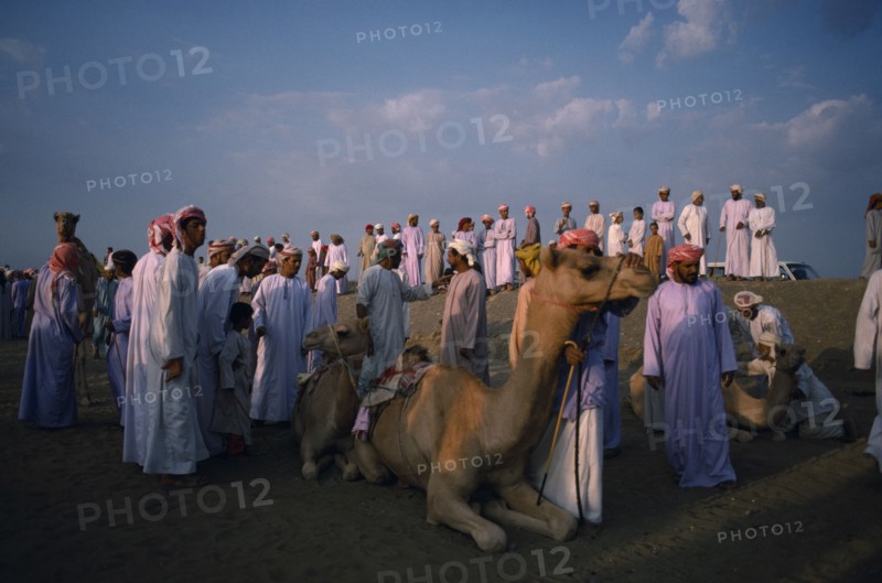 OMAN, Sport, Crowd of men and boys at the camel races near Al Suwayk