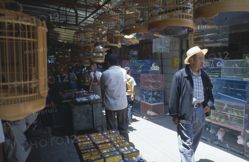 CHINA, Yunnan , Kunming, A man wearing a hat walking through a alley way in a Bird and Flower market surrounded by bird cages.