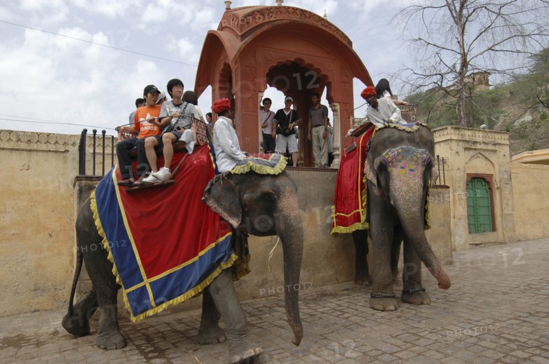 INDIA, Rajasthan, Jaipur, Japanese tourists taking elephant ride with mounting platform behind them