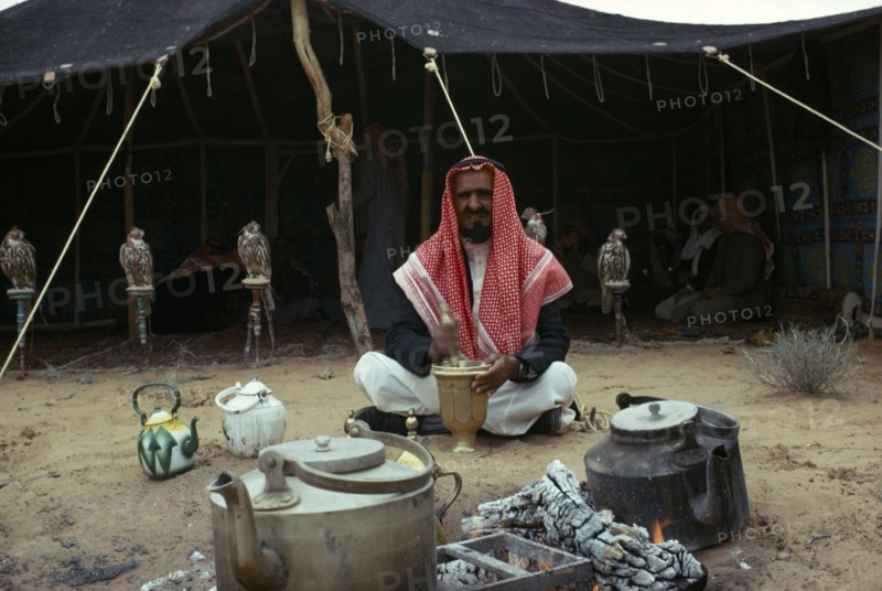 MIDDLE EAST, Bedouin, Bedouin man sitting outside his tent with row of pirched falcons behind him
