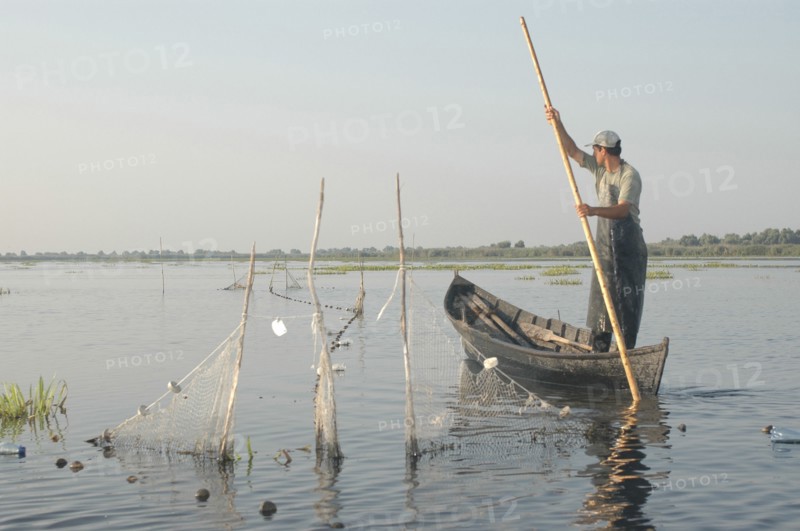 ROMANIA, Tulcea, Danube Delta Biosphere Reserve, Professional fisherman in canoe on Lake Isac checking his nets
