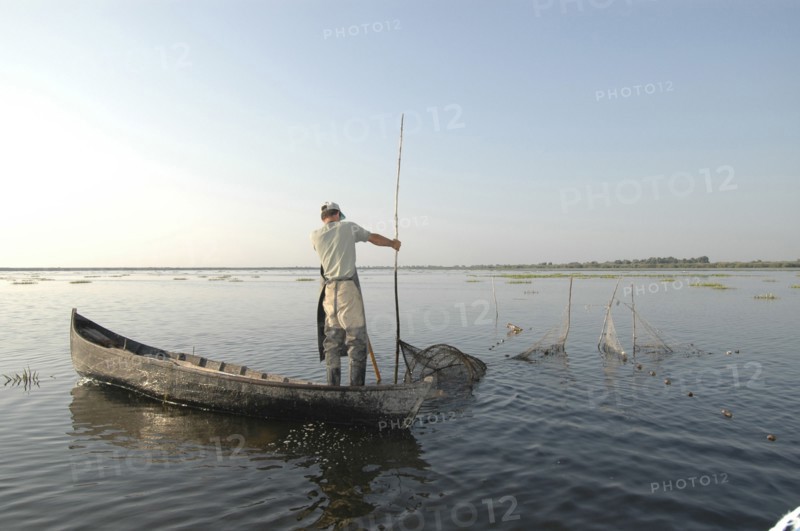 ROMANIA, Tulcea, Danube Delta Biosphere Reserve, Professional fisherman in canoe on Lake Isac checking his nets