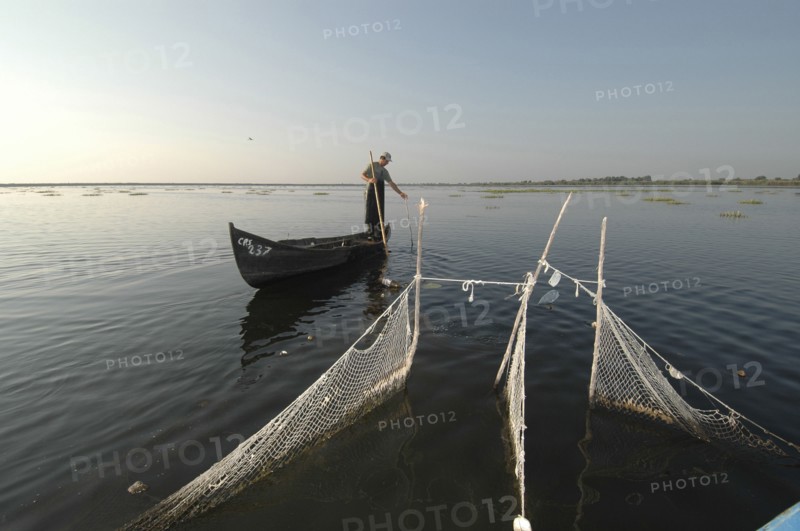 ROMANIA, Tulcea, Danube Delta Biosphere Reserve, Professional fisherman in canoe on Lake Isac checking his nets