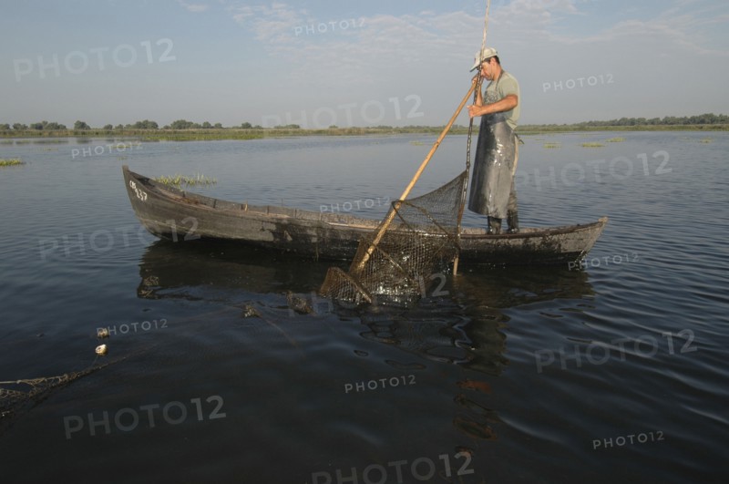 ROMANIA, Tulcea, Danube Delta Biosphere Reserve, Professional fisherman in canoe on Lake Isac checking his nets