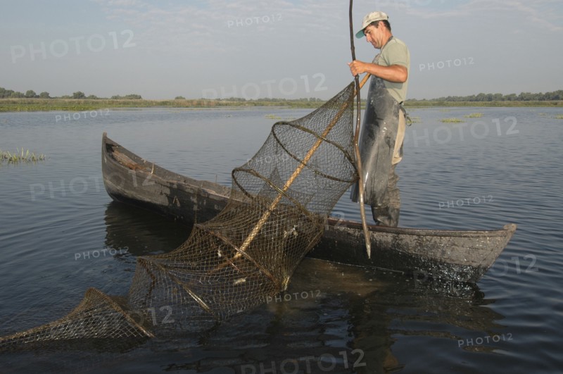 ROMANIA, Tulcea, Danube Delta Biosphere Reserve, Professional fisherman in canoe on Lake Isac checking his nets
