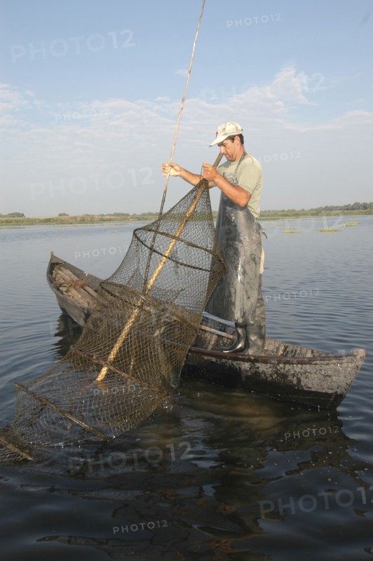 ROMANIA, Tulcea, Danube Delta Biosphere Reserve, Professional fisherman in canoe on Lake Isac checking his nets