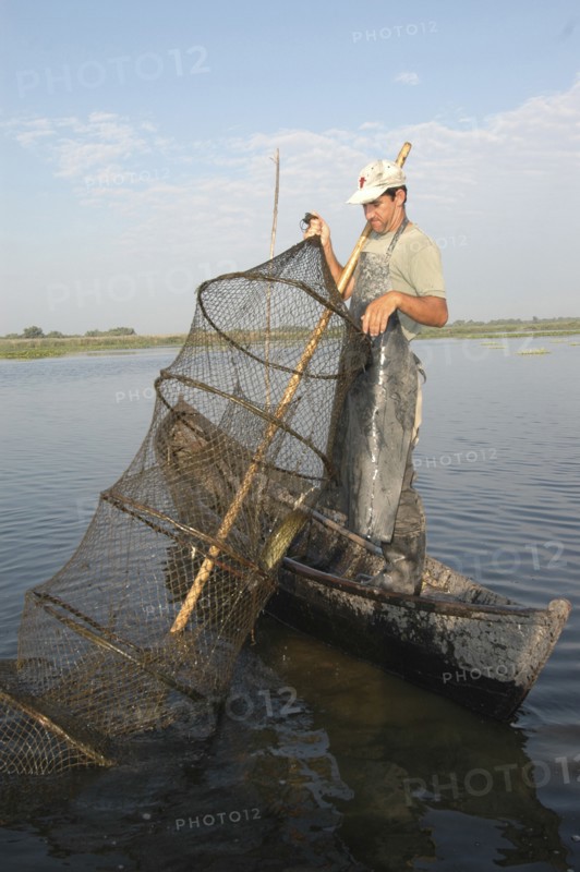 ROMANIA, Tulcea, Danube Delta Biosphere Reserve, Professional fisherman in canoe on Lake Isac checking his nets