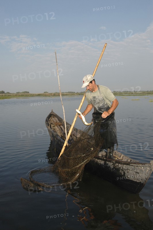 ROMANIA, Tulcea, Danube Delta Biosphere Reserve, Professional fisherman in canoe on Lake Isac checking his nets