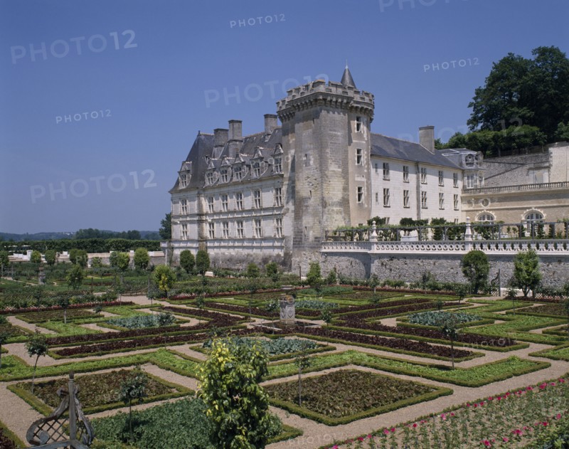 FRANCE, Loire Valley, Indre et Loire, Chateau Villandry. Ornamental walled garden