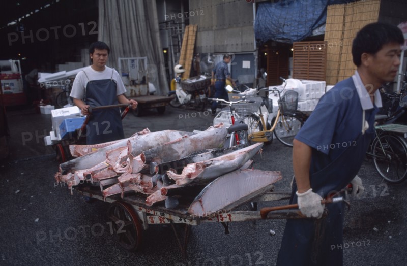 JAPAN, Honshu, Tokyo, Tsukiji Fish Market with men transporting cut Tuna on a cart