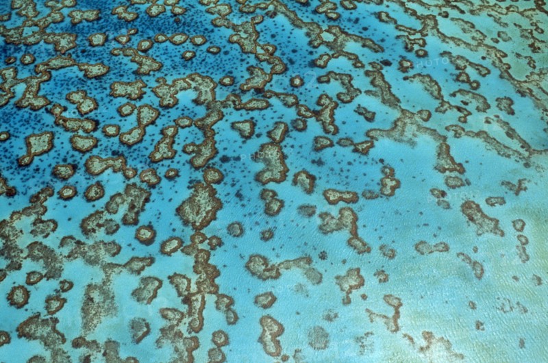 AUSTRALIA, Queensland, Great Barrier Reef, Coral Islaets of the Capricorn group