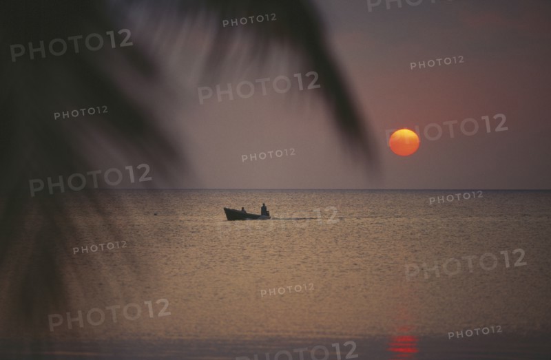 HONDURAS, Bay Islands, Roatan, Sunset seen from the beach with passing boat in silhouette and overhanging palms