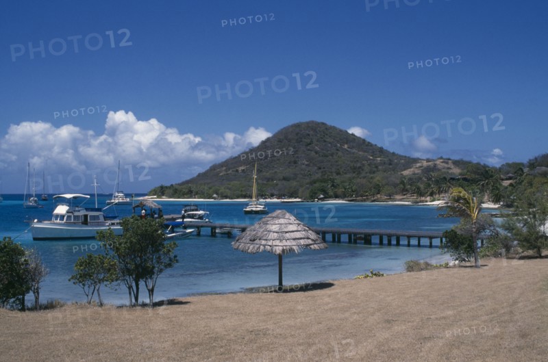 GRENADINES, Petit St Vincent, Golden beach with umbrellas and hills in the distance