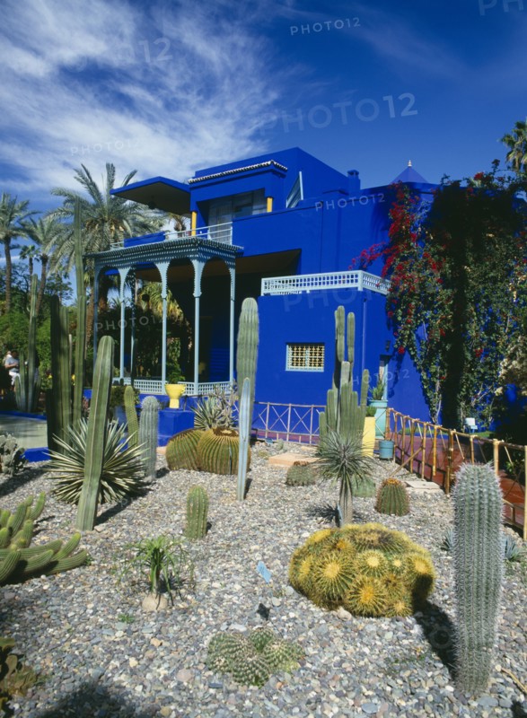 MOROCCO, Marrakech, Jardin Majorelle. Colbolt blue building surrounded by a garden of palm trees and cactus plants.