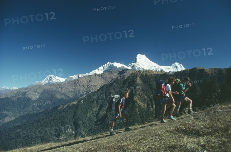 NEPAL, Landscape, Trekkers above Ghorepani with Annapurna in the distance