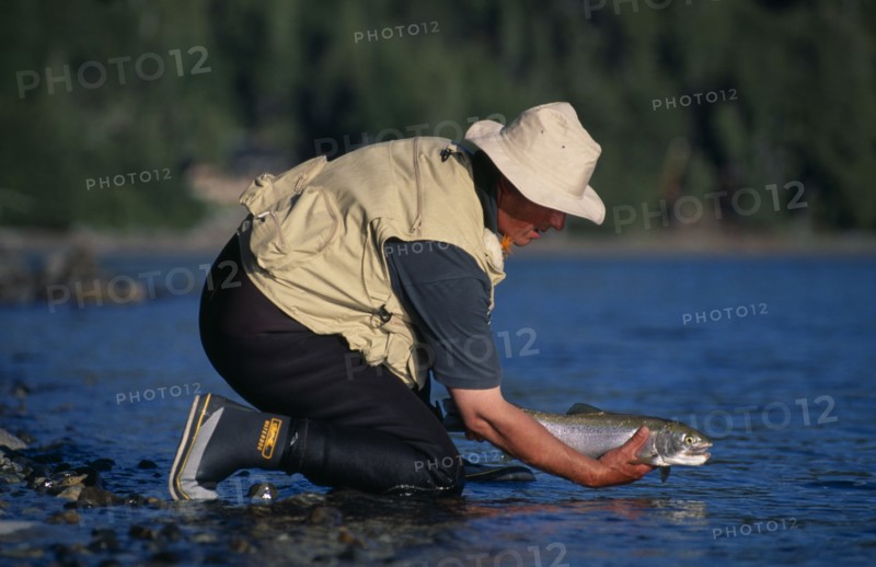20030624 ARGENTINA Patagonia Neuquen Parque Nacional Nahuel Huapi  Lago Nahuel Huapi.  Fly fisherman releasing fish.