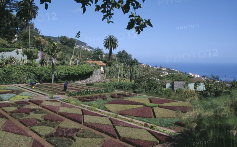 PORTUGAL, Madiera, Jardim Botanico botanical gardens near Funchal