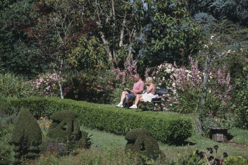 PORTUGAL, Madiera, Quinta do Palheiro or Blandy’s Gardens