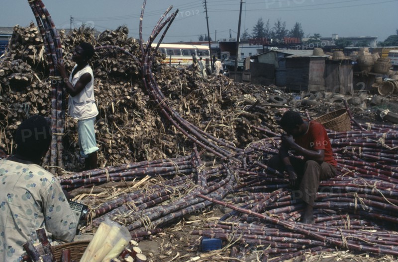 NIGERIA, Iddo, Sugar cane at market