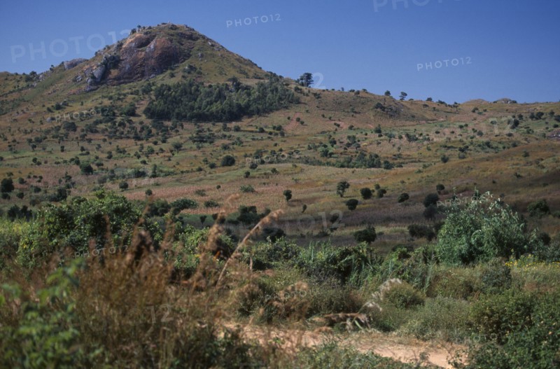 MALAWI, Blantyre-Lilongw, Area of deforestation on the Mozambique border