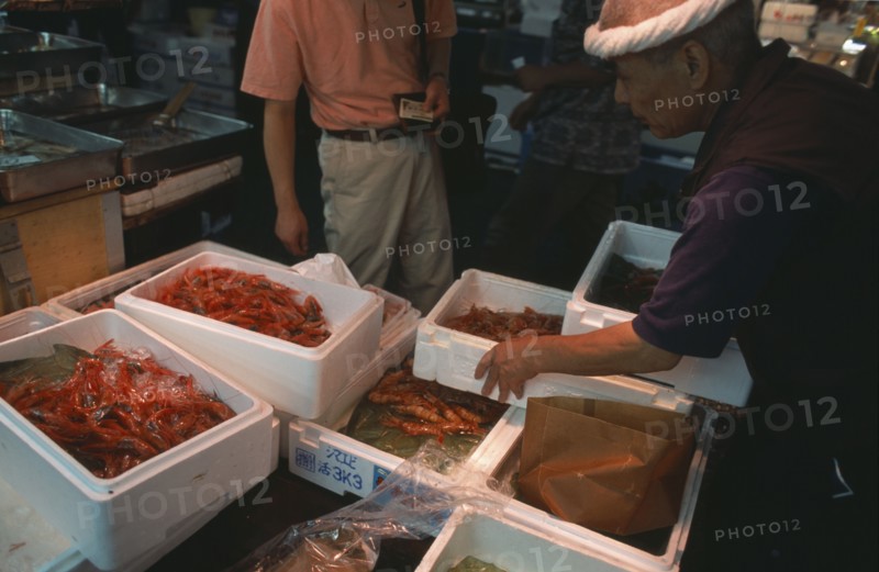 JAPAN, Honshu, Tokyo, Tsukiji Fish Market with crates of prawns