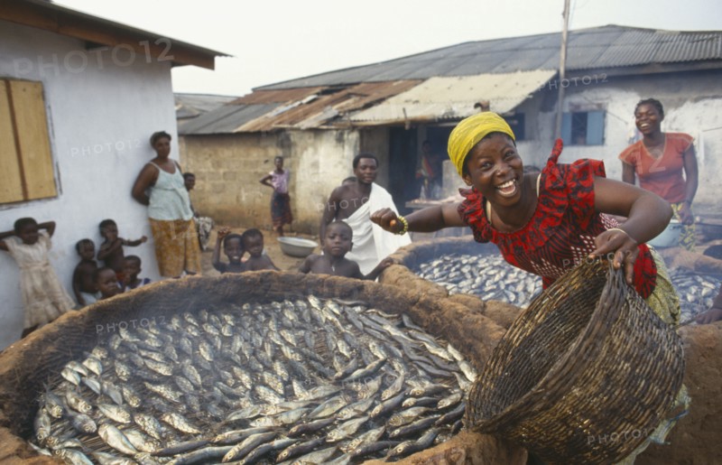 GHANA, General, Laughing woman smoking fish over mud brick ovens
