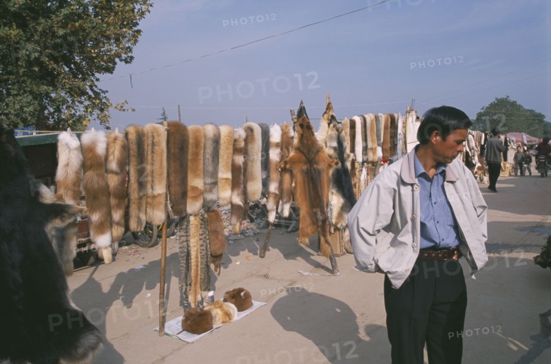 CHINA, Shaanxi, Xian. Man looking at market stall with pelts of animals draped over stands.