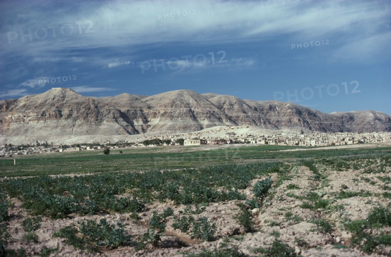 ISRAEL, West Bank, View over landscape toward the Judean Hills near Jericho with houses at the base