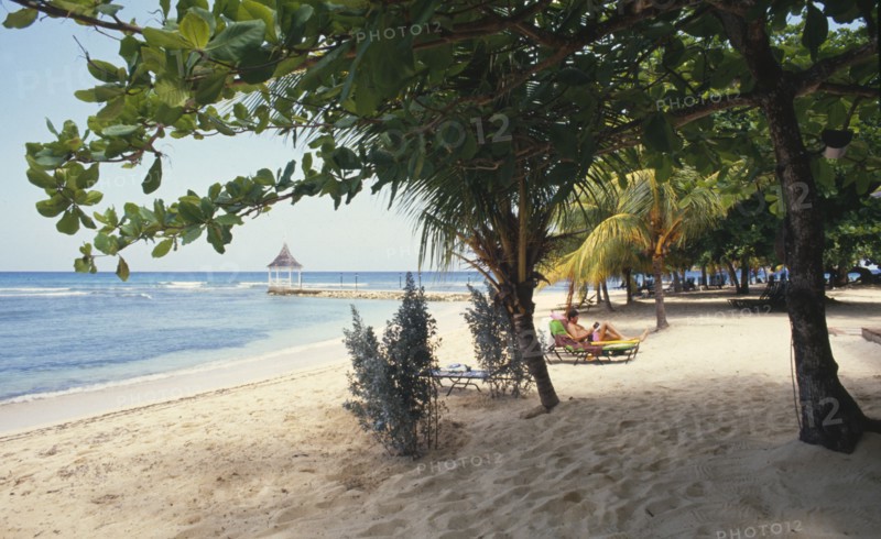 JAMAICA, Montego Bay, Beach and trees at the Half Moon Hotel